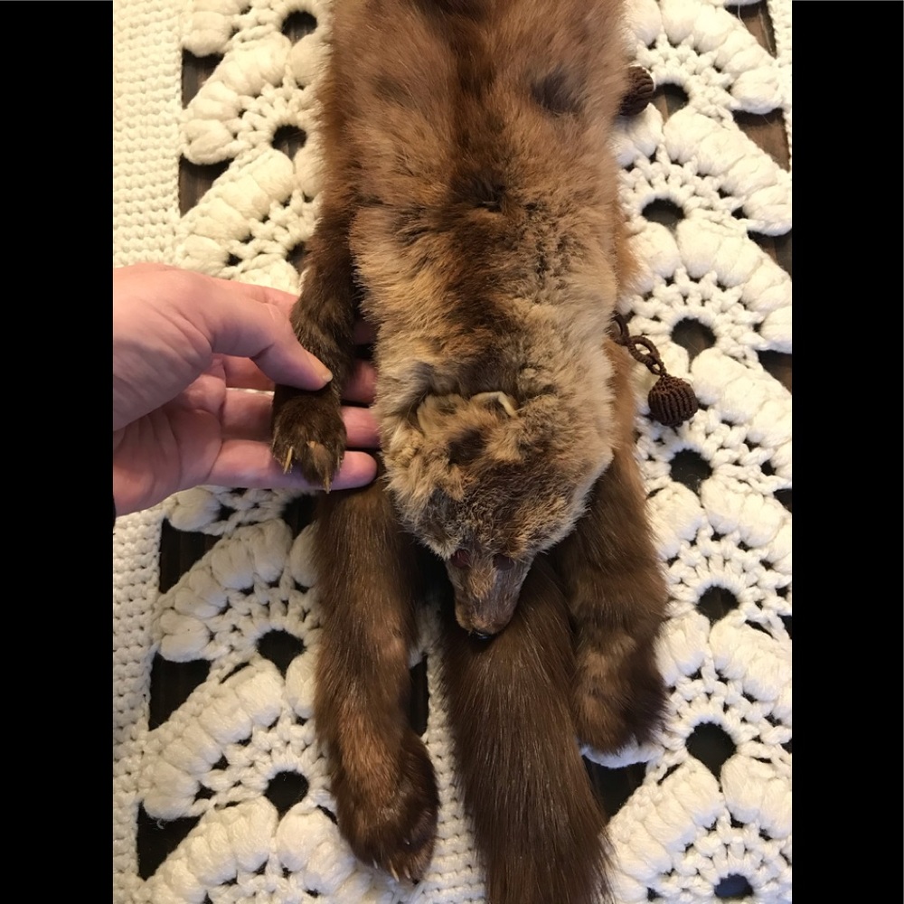 Fox Fur Stahl Vintage Authentic RARE - Picture 6 of 8